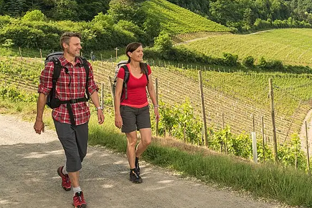 Wandern in den Weinbergen und im Ahrtal